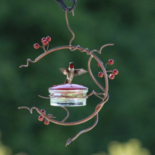 Red Berries Hummingbird Feeder - Aisitin Online