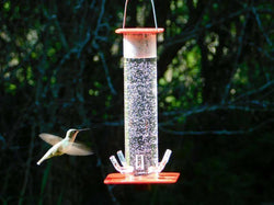 Peter's Hummingbird Feeder - Aisitin Online