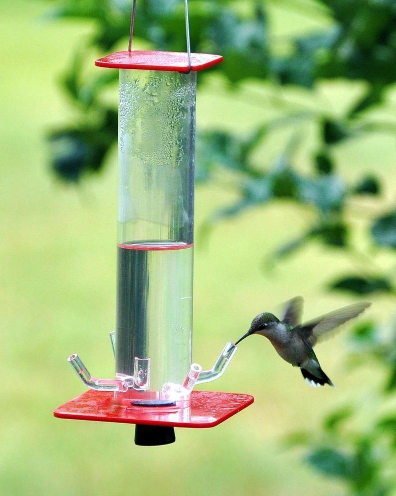 Peter's Hummingbird Feeder - Aisitin Online