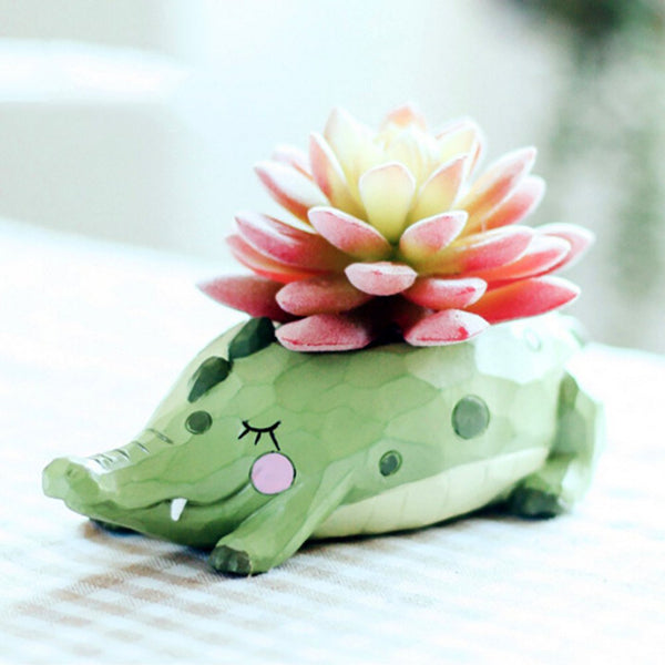 Crocodile Succulent Flower Pot