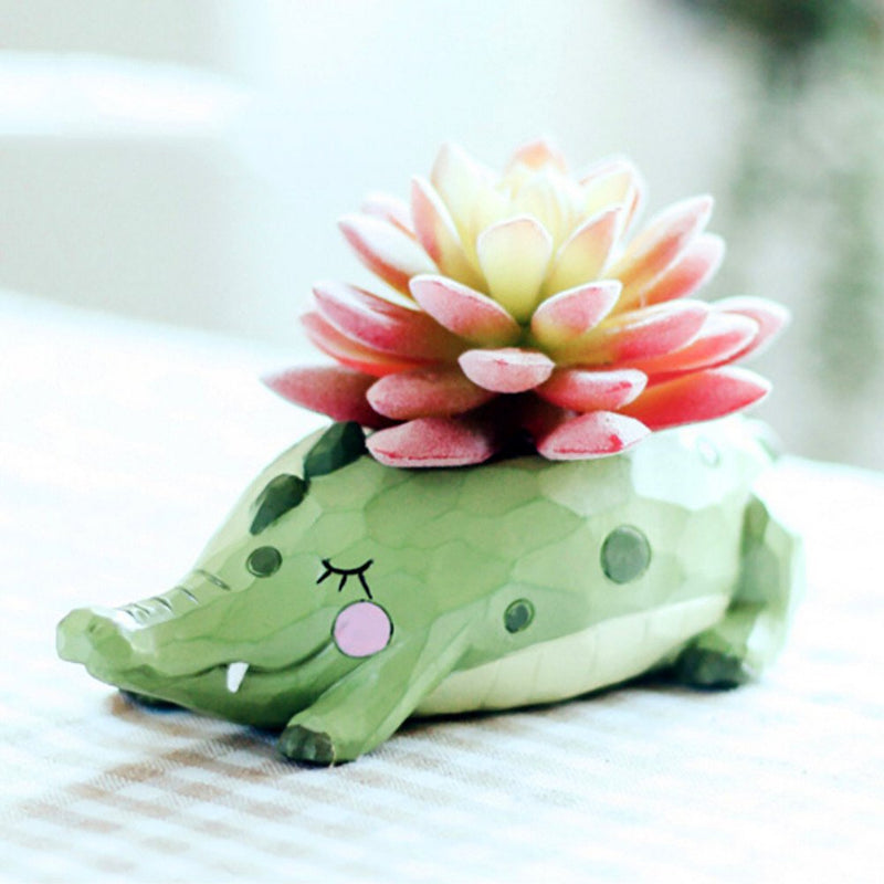 Crocodile Succulent Flower Pot