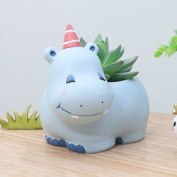 Hippo Succulent Plant Pot