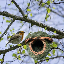 Hand-woven Outdoor Garden Natural Grass Hanging Bird House - Aisitin Online