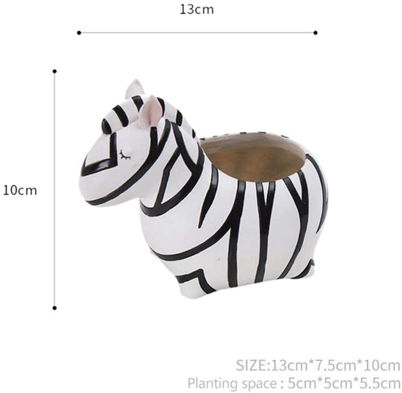 Zebra Succulent Plant Pot
