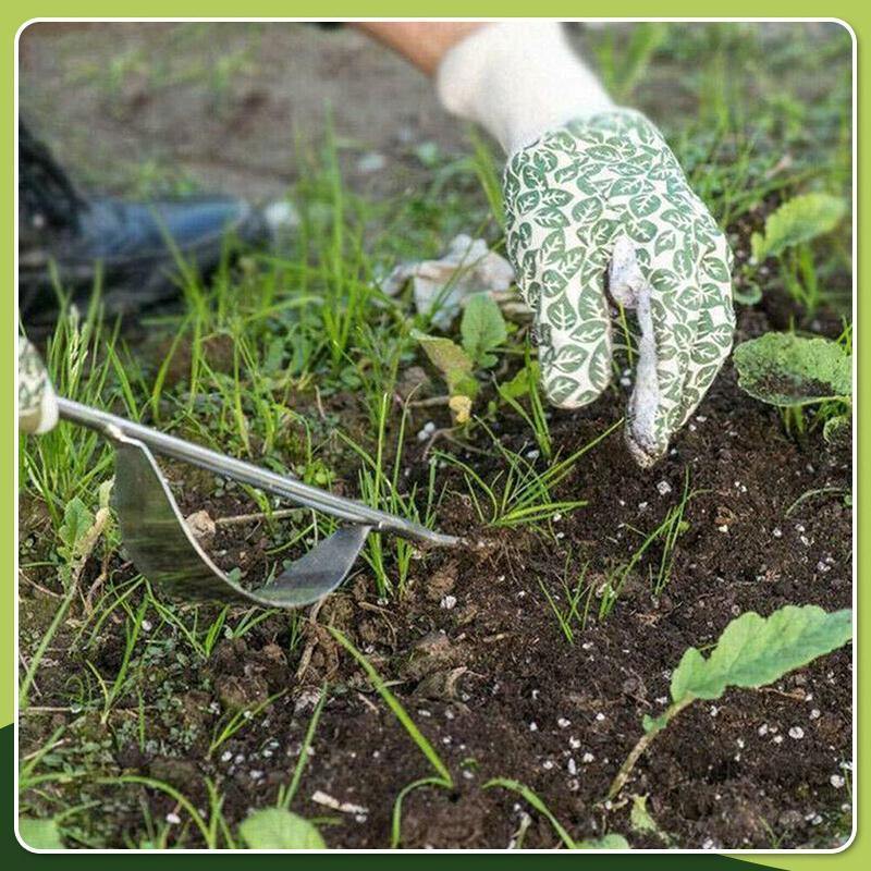 Garden Hand Weeder - Aisitin Online