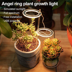 LED Grow Light Lamp Full Spectrum Phyto USB 5V Phytolamp For Plants Growth Lighting - asmpick
