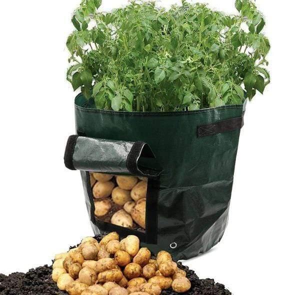(CLEARANCE SALE )50L Large Capacity Potato Grow Planter PE Container Bag- Buy 5 Free shipping Plant Bag