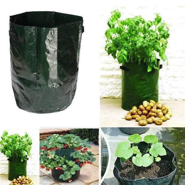 (CLEARANCE SALE )50L Large Capacity Potato Grow Planter PE Container Bag- Buy 5 Free shipping Plant Bag