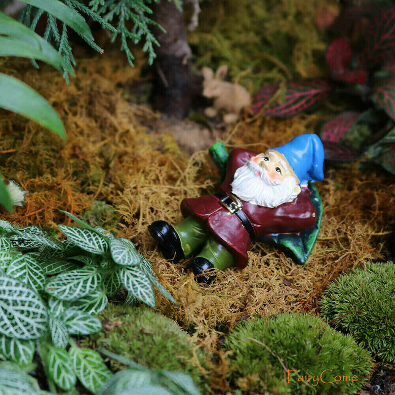 5pcs Miniature Gnomes Figurines Accessories